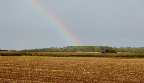 This landscape photograph was taken in a rural area of England in the United Kingdom during the afternoon in the autumn season. The main subjects visible are a tractor working in a harvested field and a distinct rainbow arcing across the sky, adding color to an otherwise overcast scene. In the background, there is a line of trees bordering the field, and a large flock of birds is scattered across the distant part of the farmland, likely feeding on the freshly turned soil. The agricultural activity, presence of farm machinery, and natural elements characterise this typical rural English countryside setting. The photograph highlights the interaction between tractors, animals including birds, and the changing seasonal landscape under a striking rainbow during a typical autumn afternoon.